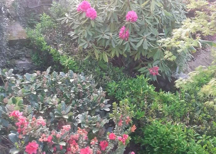 Hotel céntrico: Hostal Casa Martinez